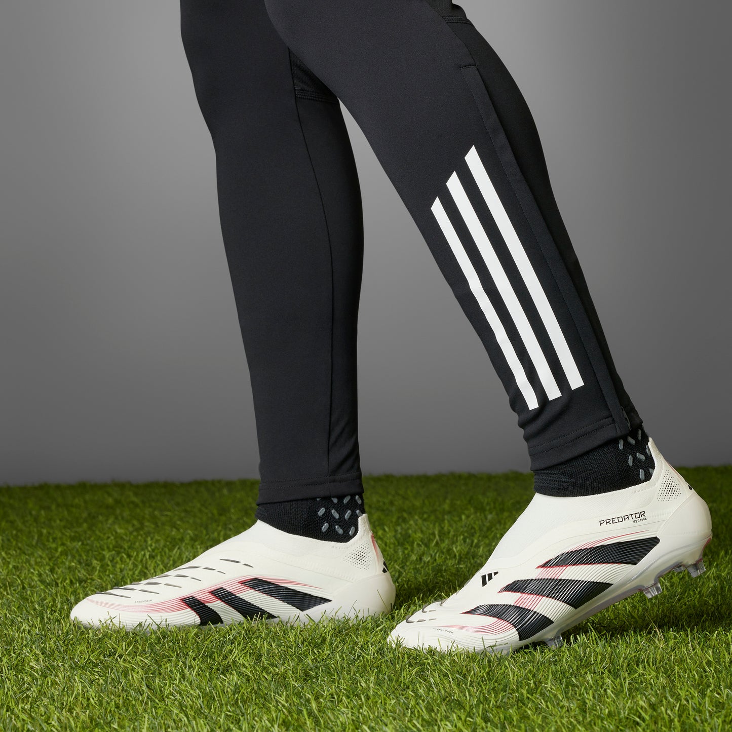 adidas Predator Elite LL FG - off white/core black/pure ruby