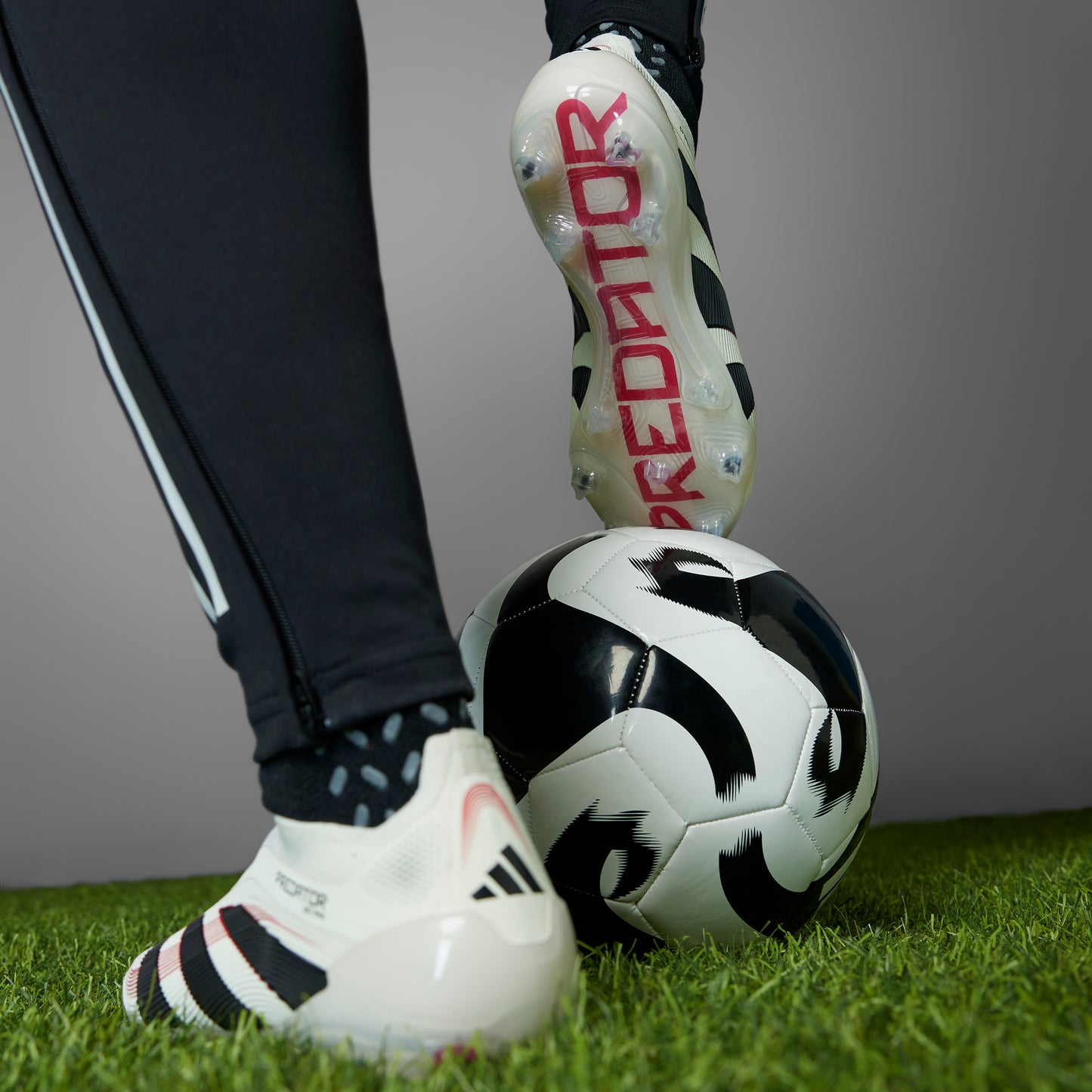 adidas Predator Elite LL FG - off white/core black/pure ruby