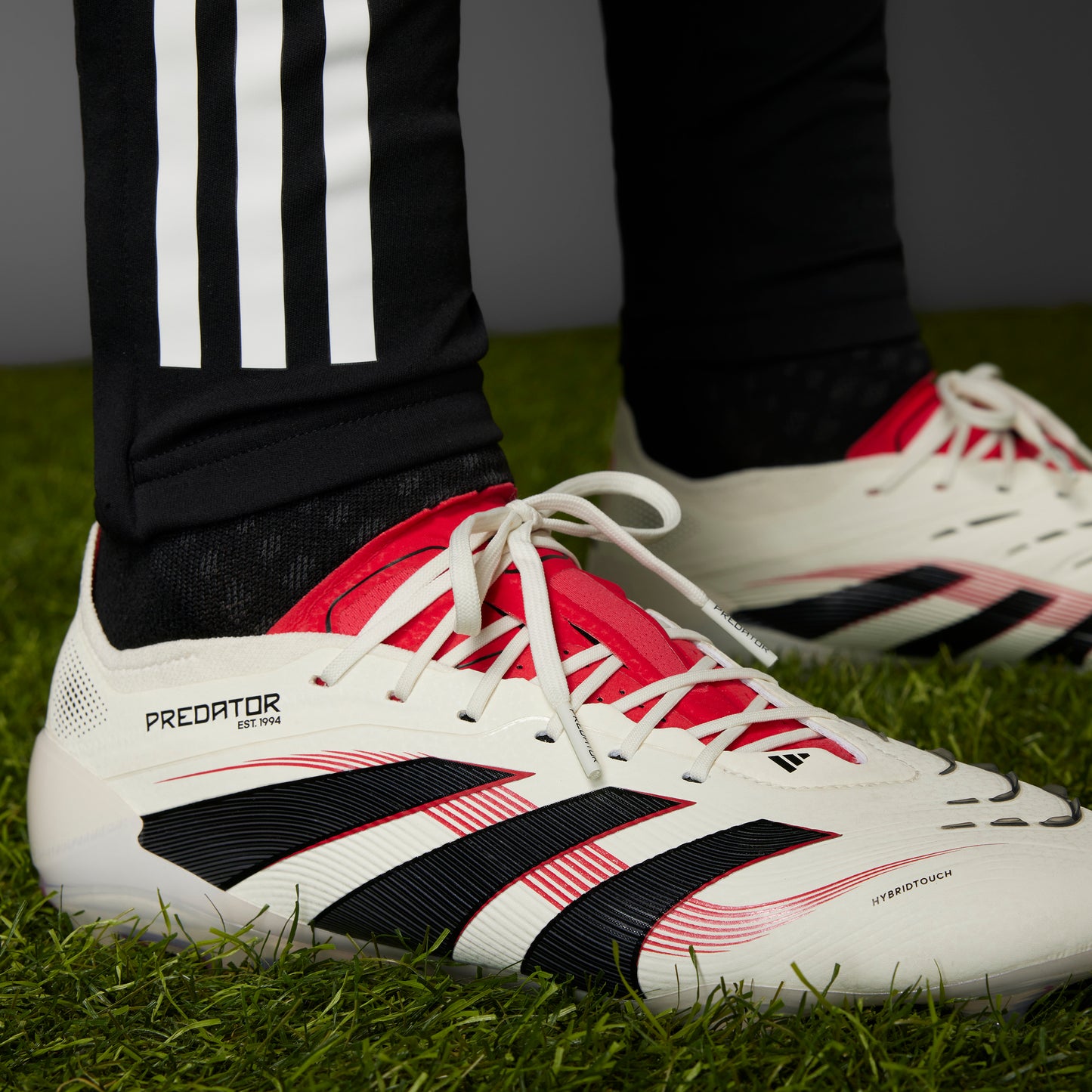 adidas Predator Elite FG - off white/core black/pure ruby