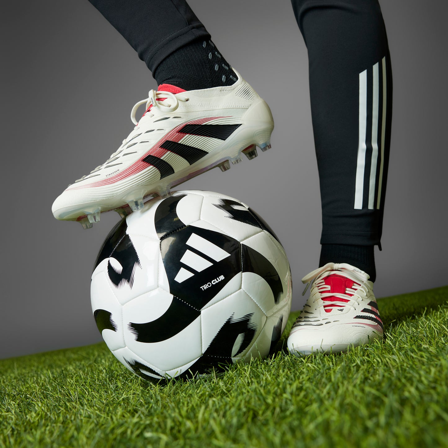 adidas Predator Elite FG - off white/core black/pure ruby