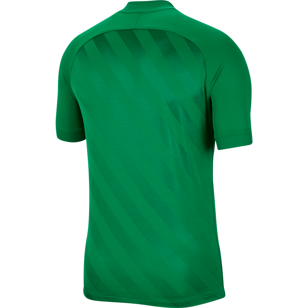 DRI-FIT Challenge III Youth Jersey