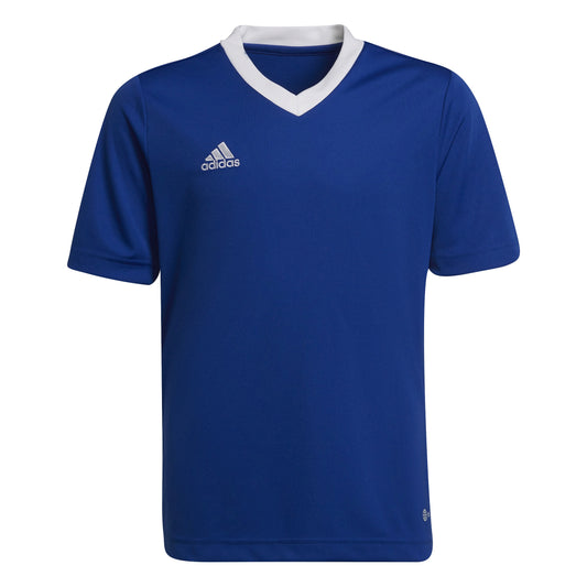 Entrada 22 Jersey - Royal Blue Youth