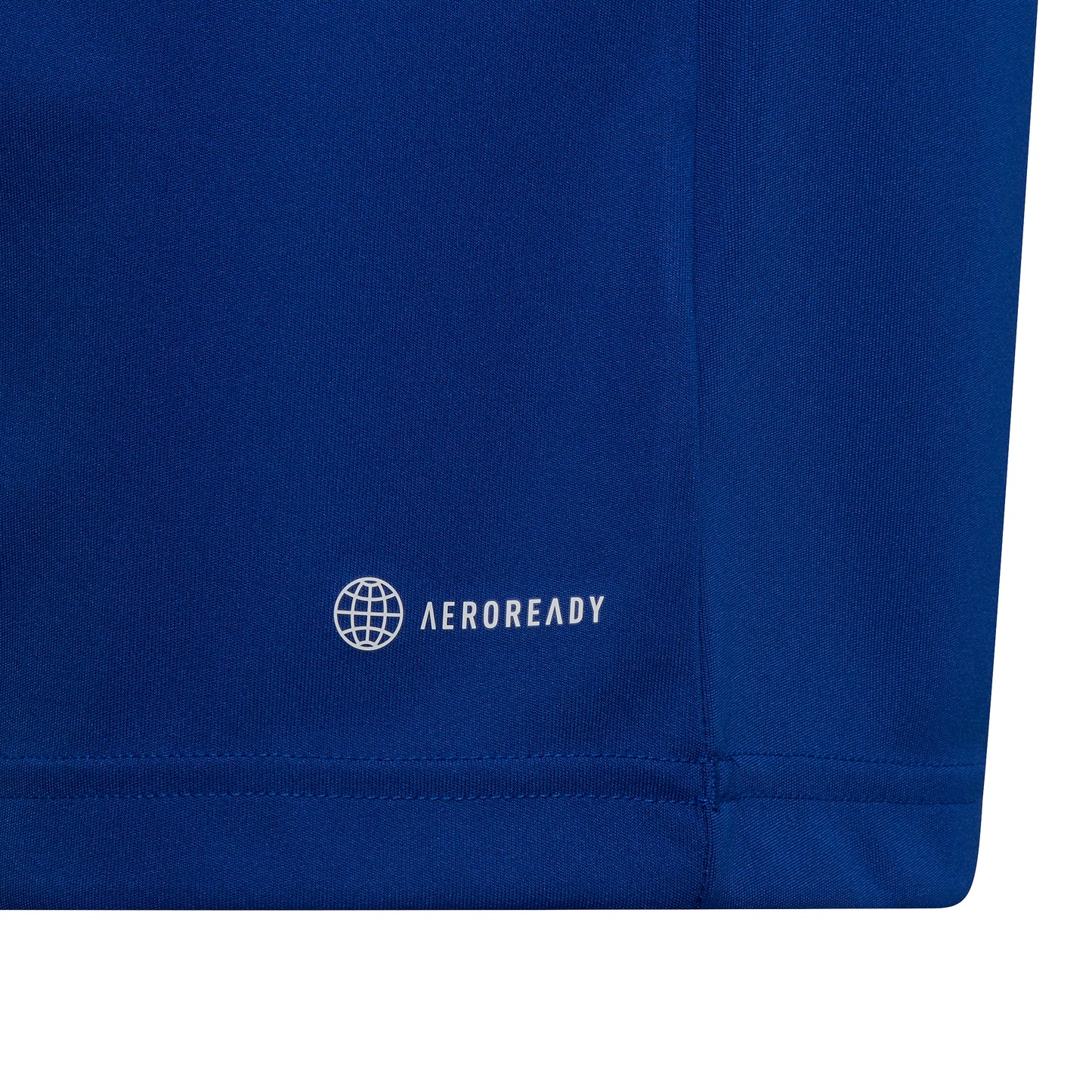 Entrada 22 Jersey - Royal Blue Youth