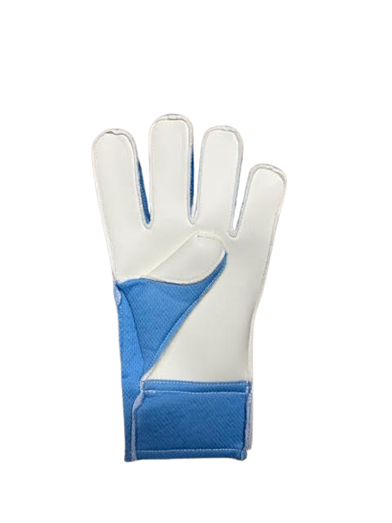 Puma Manchester City Glove - Team light Blue