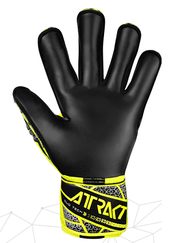 Reusch Attrakt Duo Evolution - 5570055 2025