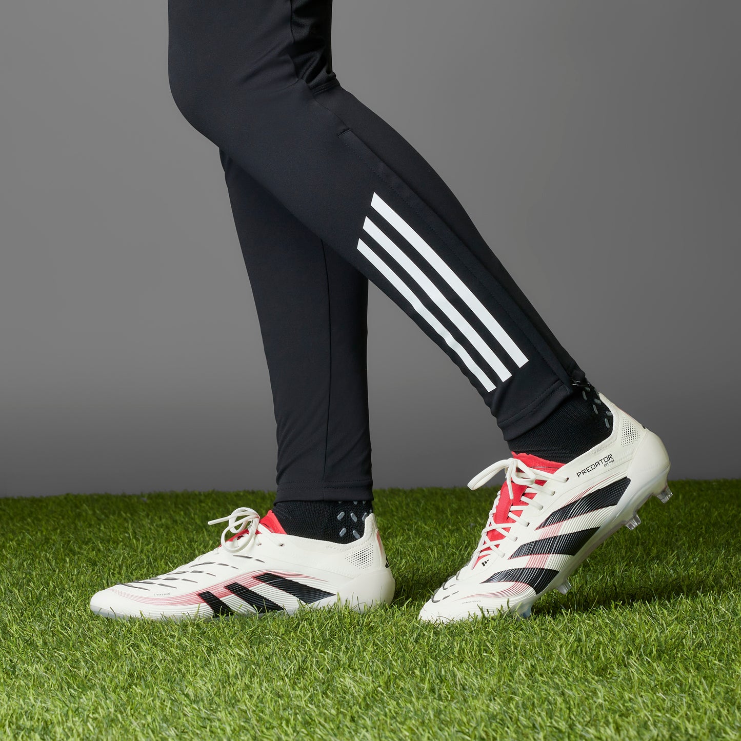 adidas Predator Elite FG - off white/core black/pure ruby