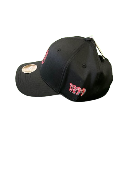 Puma AC Milan Culture+ cap - Black