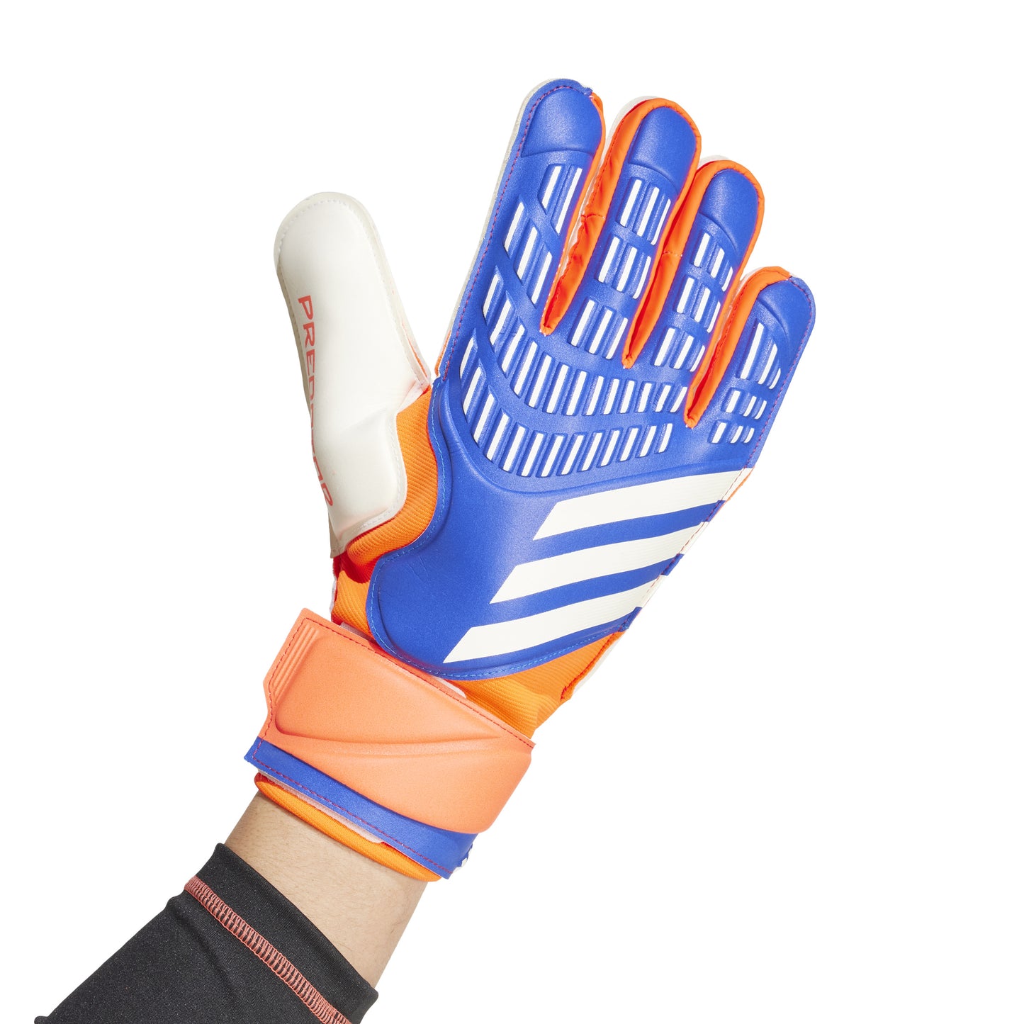 adidas Predator Match Goalkeeper Gloves - Lucid Blue/Solar Red/White