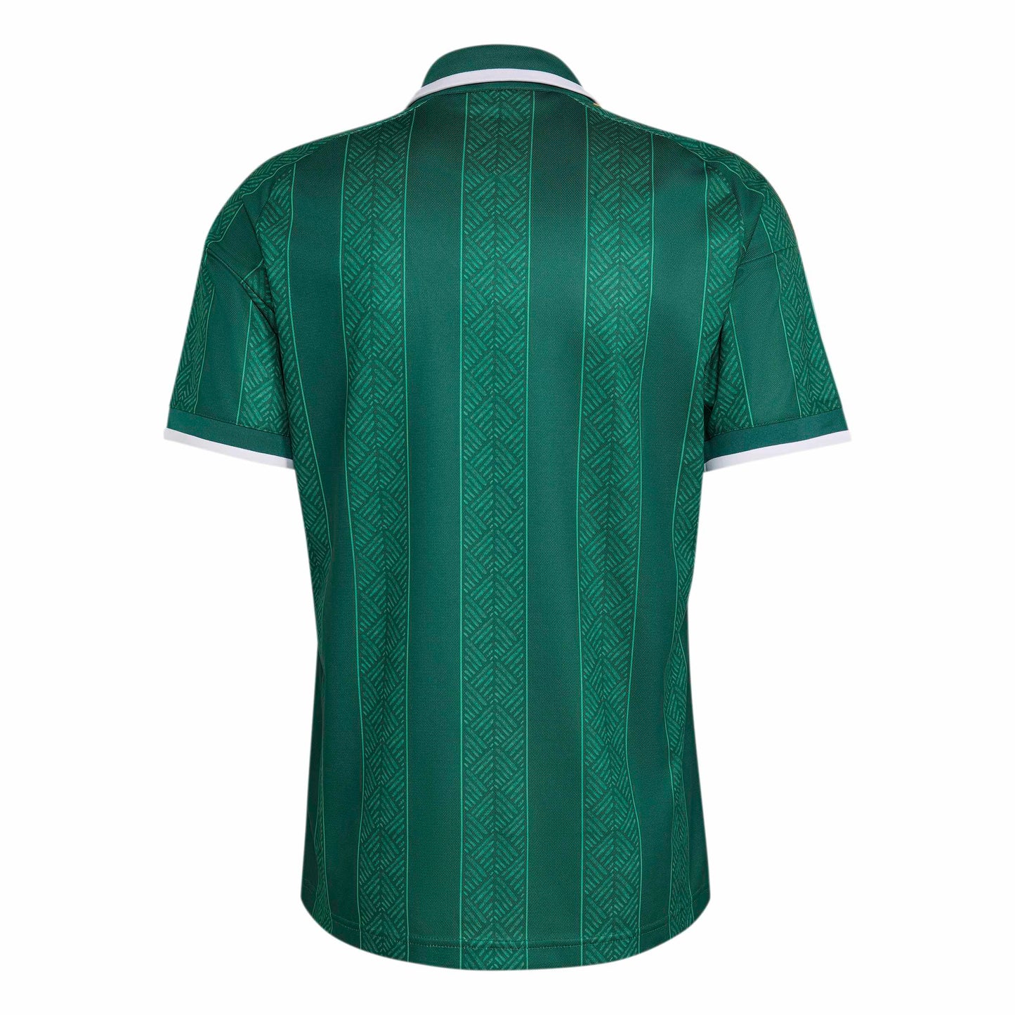 adidas South Africa (SAFA) 26 Away Jersey - Team Dark Green / Team Green