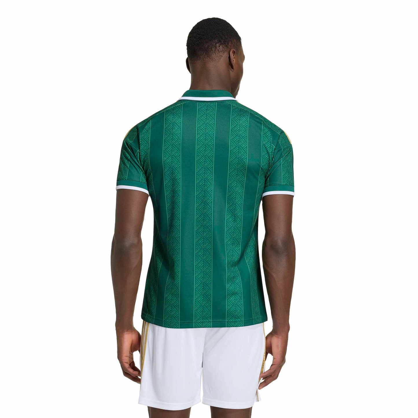 adidas South Africa (SAFA) 26 Away Jersey - Team Dark Green / Team Green