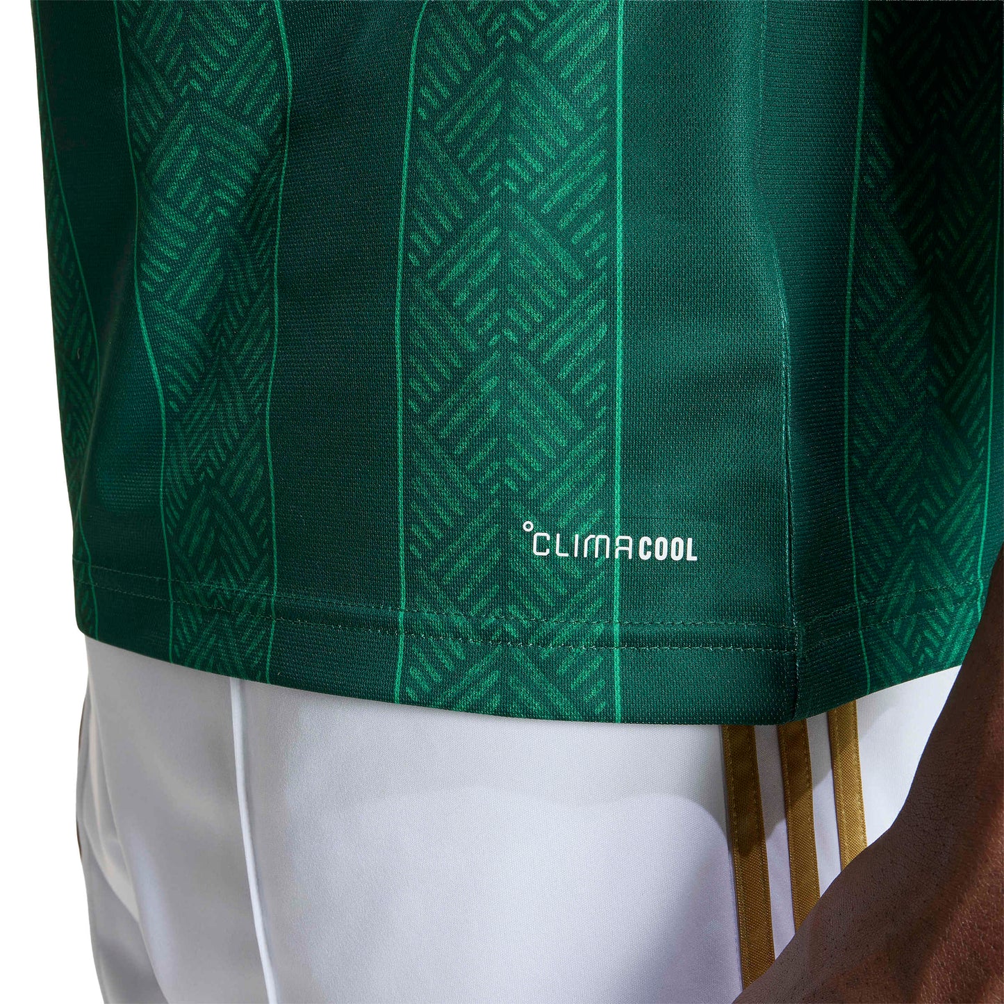 adidas South Africa (SAFA) 26 Away Jersey - Team Dark Green / Team Green
