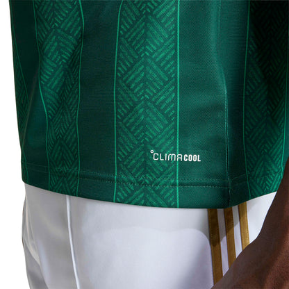 adidas South Africa (SAFA) 26 Away Jersey - Team Dark Green / Team Green