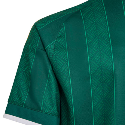 adidas South Africa (SAFA) 26 Away Kids Jersey - Team Dark Green / Team Green