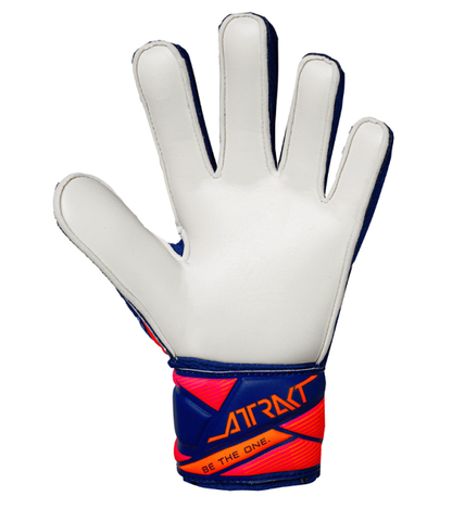 Attrakt Starter Solid Jr - sharp blu/wht/shock orng