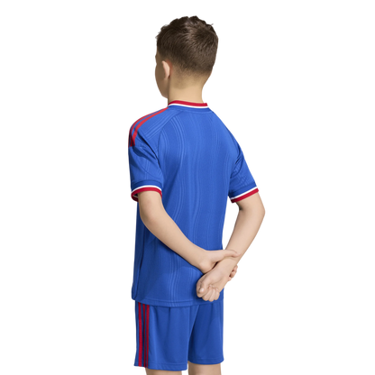 adidas Manchester United FC 26-27 Jr Away - Royal Blue detail view 2