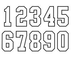 8 Inch/20cm Standard Number